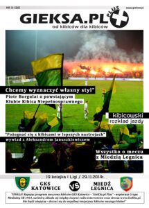 11 (20) Miedź-strona001